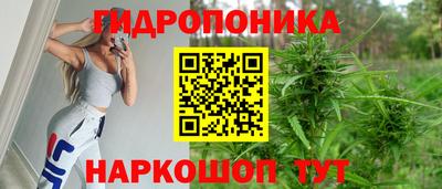дмт Кунгур