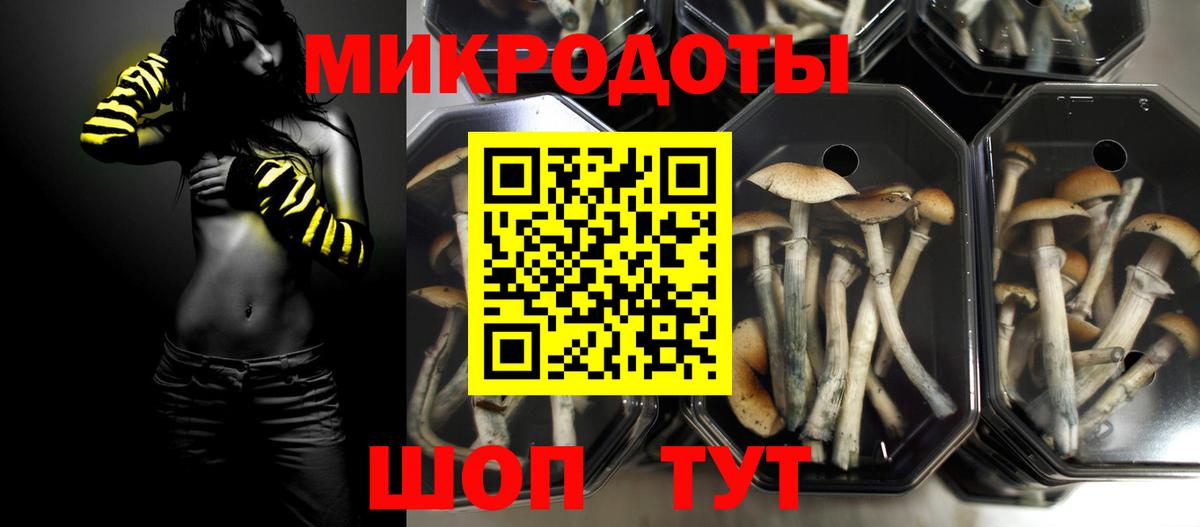 Псилоцибиновые грибы Psilocybine cubensis Шелехов