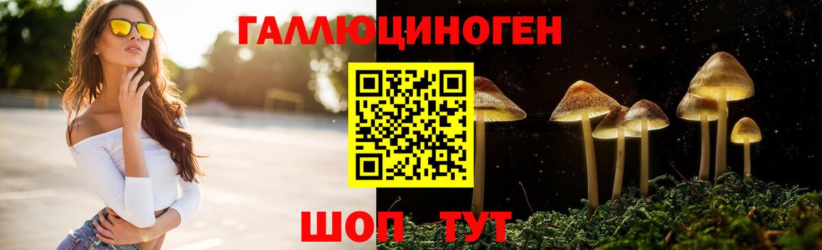 Шелехов  Галлюциногенные грибы GOLDEN TEACHER  Вход с VPN  Псилоцибиновые грибы Psilocybine cubensis 